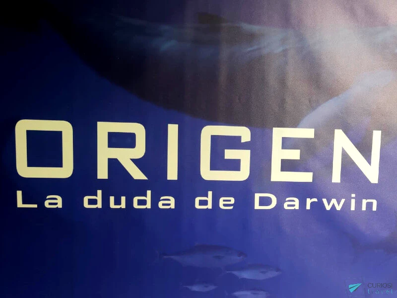 Origen, la duda de Darwin Munic