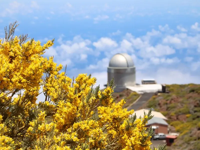 Observatorio astronómico La Palma